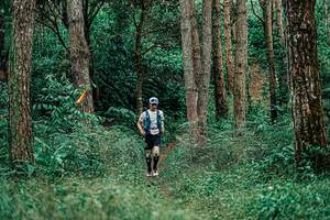 BIB: 
                            <button type="button" onclick="openModal(25237655)" class="btn btn-primary btn-sm float-right btn-popup" data-toggle="modal" data-target=".modal-high-quality">
                        <i class="fas fa-shopping-cart"></i> Add to Cart
                    </button>
                                            <button type="button" onclick="isThisMe(25237655, true)" class="btn btn-success btn-sm float-right btn-popup btn-isme hidden" data-toggle="tooltip" data-placement="bottom" title="นี่คือรูปของคุณใช่ไหม คลิกที่นี่เพื่อเอาเข้าอัลบั้ม">
                        <i class="fas fa-plus"></i> Add to album
                    </button>
                    <button type="button" onclick="isThisMe(25237655, false)" class="btn btn-warning btn-sm float-right btn-popup btn-isnotme hidden">
                        <i class="fas fa-ban"></i> Remove from album
                    </button>